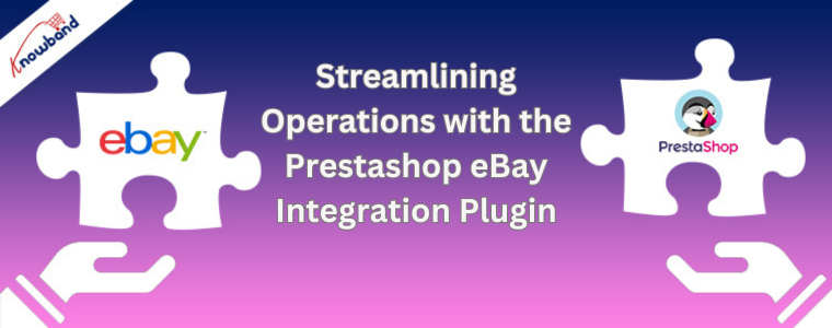 Streamlining Operations with the Prestashop eBay Integration Plugin