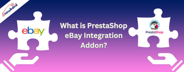 What is PrestaShop eBay Integration Addon?